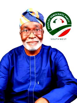 New Electoral Act a welcome devt, but… — South-West PDP scribe, Owokoniran