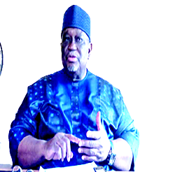 We have become reference point for accounting profession in Africa — Osisioma, ANAN President