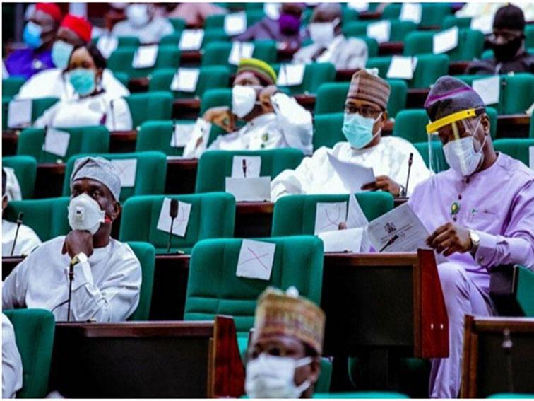 Reps demand increased funding for development of traditional medicine