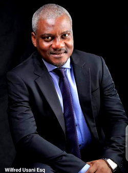 Why I seek to represent C/River Central in the Senate, Barr. Usani