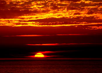 Adebanjo, Clark, Amechi, Yakasai at their sunset (5)