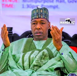 Zulum rejects naming of school project after him