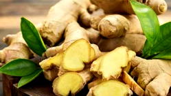Beware! Popular household spices are silently sabotaging your medications