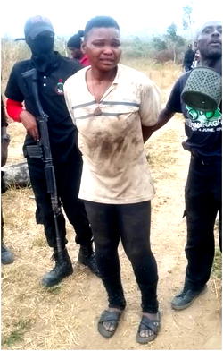 My ex-convict boyfriend lured me into hemp business, promised me wedding with the proceeds — suspect confesses