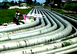 OML 40 Contract: Host communities commend FG’s initiative of ceding pipeline job to OMSL