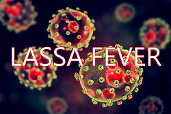 <strong>Nigeria records 85 </strong>Lassa fever<strong> deaths in 6 weeks </strong><em>— NCDC</em>