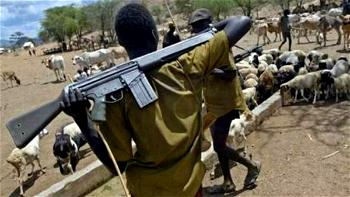 <strong></img>Students, teachers injured as suspected herdsmen storm Oyo school </strong>