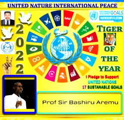 Aremu receives Tiger award from United Nature International Peace