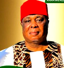2023: Challenges to tackle if nominated for presidency, Anakwenze