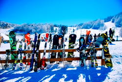 All You Need to Know About Beech Mountain Resort