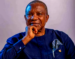 Insecurity: Nigeria may collapse before 2023, Ohuabunwa warns