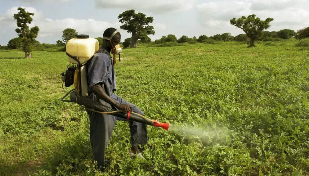 Protecting Nigerians from banned pesticides