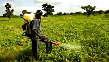 Protecting Nigerians from banned pesticides
