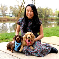 How Sassy Woof Achieved Record-Breaking Growth when the Pandemic Struck in 2020