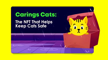 Caring Cats Founders Share Their Plans to Reward NFT Holders