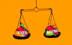 Ensuring gender budgeting for sustainable, inclusive growth in Nigeria