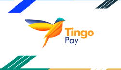 Tingo launches superApp to end financial challenges in Nigeria