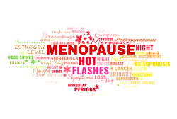 Why young women experience early menopause — Gynaecologist 
