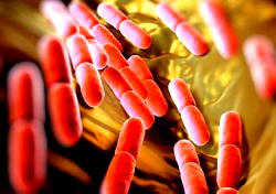 [Advertorial] Antibiotics May no Longer Work, But Here’s 3 ways to Eliminate Staph Aureus, Gonorrhea, Syphilis, STD and other Infections!
