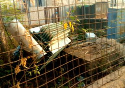 Journalist, other residents in Ilorin community seek Kwara Govt assistance on repair of electric transformers