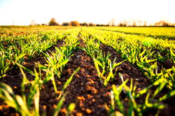 Farmers urge expansion of ABP as planting season begins 
