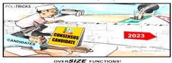 Cartoon: APC/PDP presidential aspirants and zoning