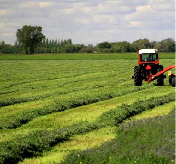 African Agriculture on a mission to boost global food production