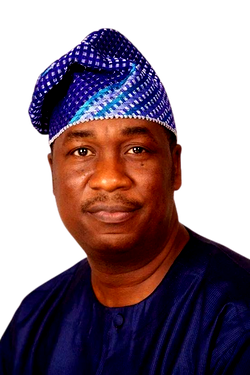 Lagos deputy governor, wins polling unit, defeats LP candidate
