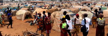 IDPs: Sesor Africa opens first Nigeria’s support centre 