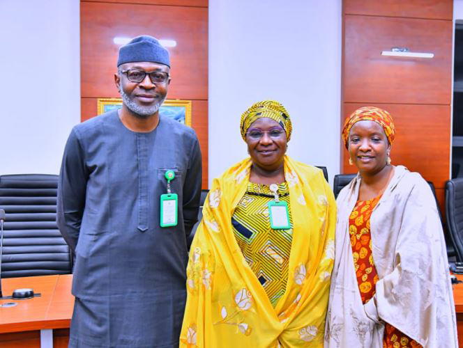 Proper Information Dissemination Improves Wealth, Job Creation - Kaduna 