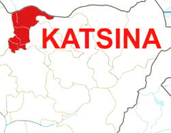 Katsina Guber polls: APC in early lead, wins all 17 LGAs announced