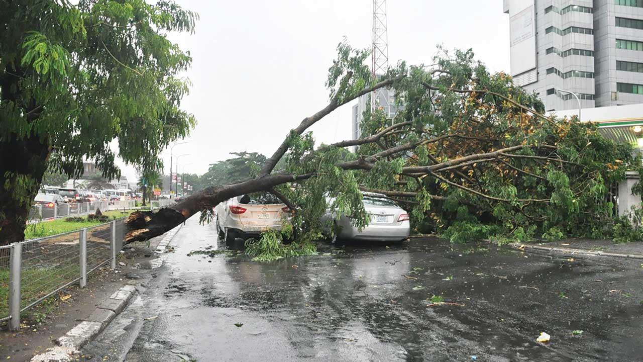 Windstorm sacks Delta Community