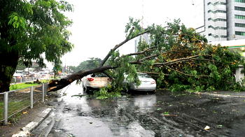 Windstorm sacks Delta Community