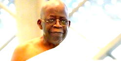 How the plan against Tinubu is progressing