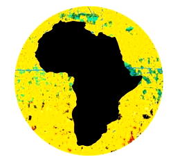 Twitter centres African voices in a celebration of firsts
