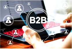 B2B e-commerce: connecting the digital brick and mortar divide
