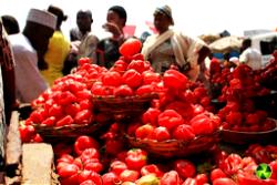 Economy: Lifestyles Nigerians adopted in 2022