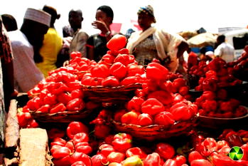 Inflation hits 18yr high at 22.4%, to surpass 23% this month