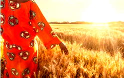 Agritech in Nigeria: Advisory Services for the Smallholding Farmers in Nigeria