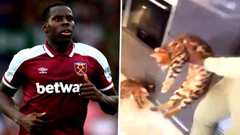 Zouma charged with 3 offences over alleged abuse of pet cat