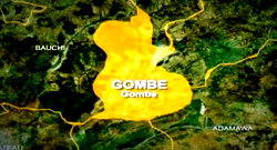 Voting begins amidst high turnout in Gombe