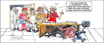 Cartoon: Two hours of light, N30,000 electricity bill