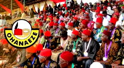 Ohanaeze, Afenifere, Arewa, Jonathan to storm Imo for Iwuanyanwu