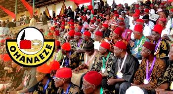 Ohanaeze urges FG to intervene in ethnic profiling of Igbo race