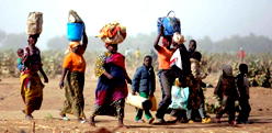 500 fleeing Cameroonian refugees cross to C’River – SEMA