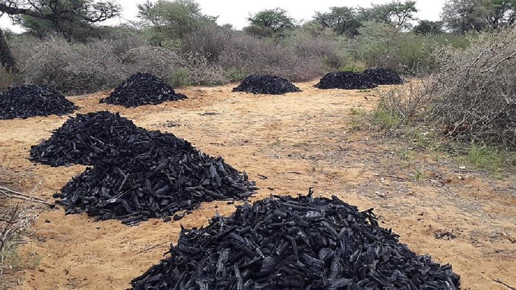 40 million Nigerians engage in fuelwood collection, charcoal production, says Report