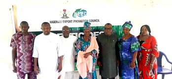 Wrongful use of pesticides endangering lives of Nigerians – NEPC