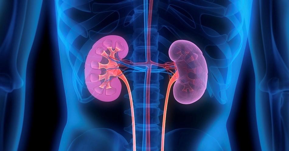 Kidney damage can be fatal, there is no cure, nephrologist warns