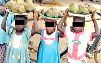 Out-of-school children hit 20m as poverty, insecurity worsen