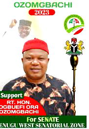 2023: I’ll leverage on my experience to serve – Ozomgbachi
